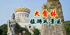 好爽使劲操我视频软件下载中国浙江-绍兴大香林旅游风景区